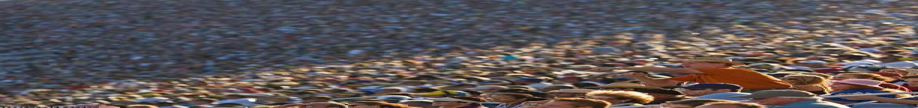 世界杯数据运动技能培训支持服务